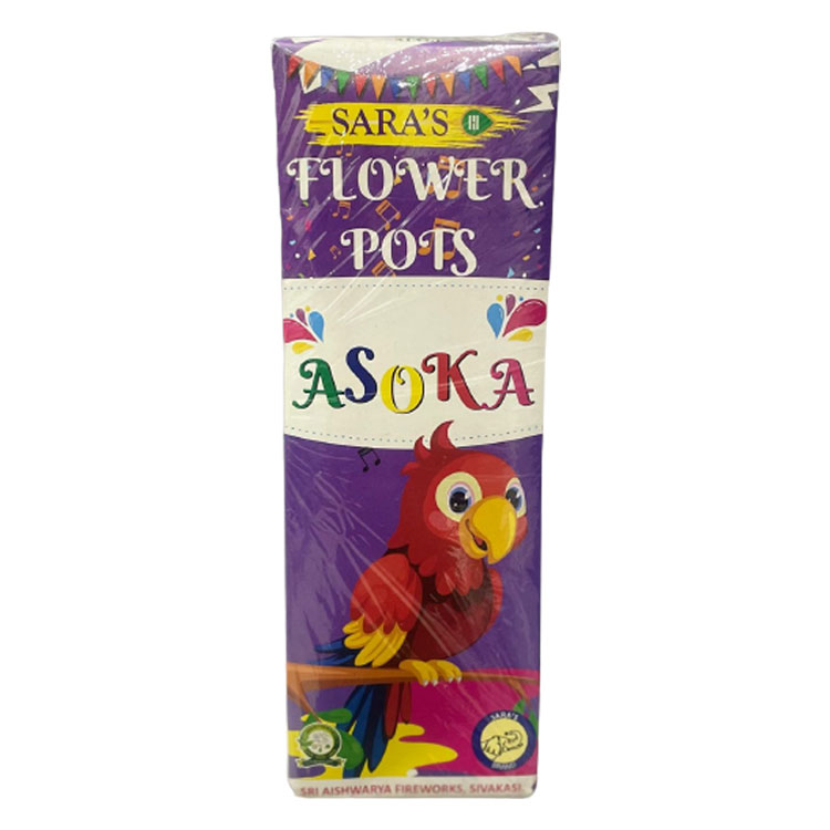 Flower Pots Asoka